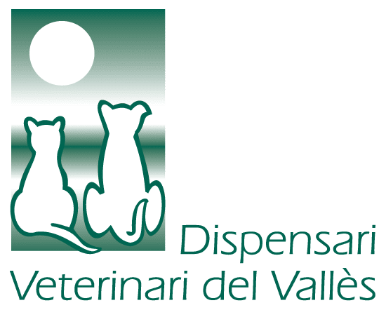 05_01__dispensari_veterinari