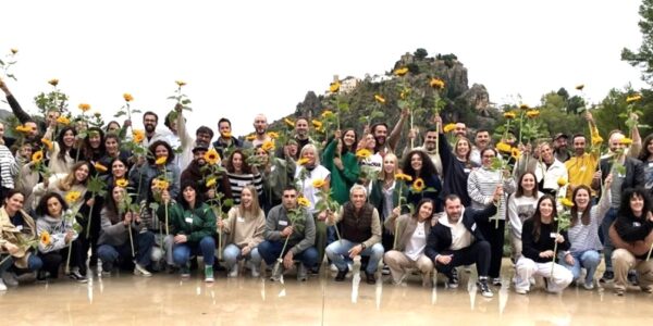 Cultura Organizacional - equipo